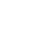 leader
